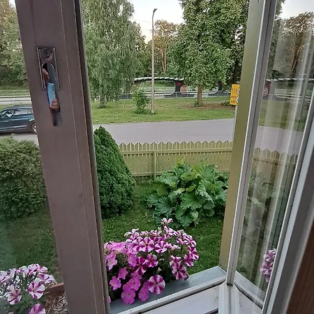 Appartement Greenery And Peace On The Edge Of The Center *