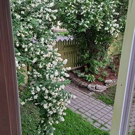 Greenery And Peace On The Edge Of The Center Tallinn