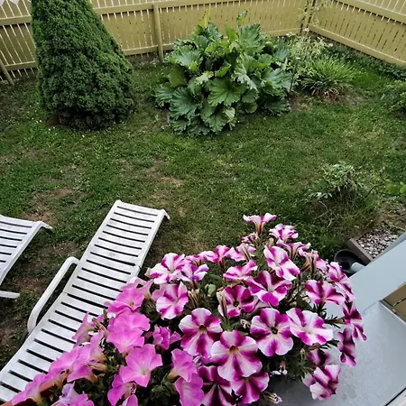 Greenery And Peace On The Edge Of The City Center * Reval